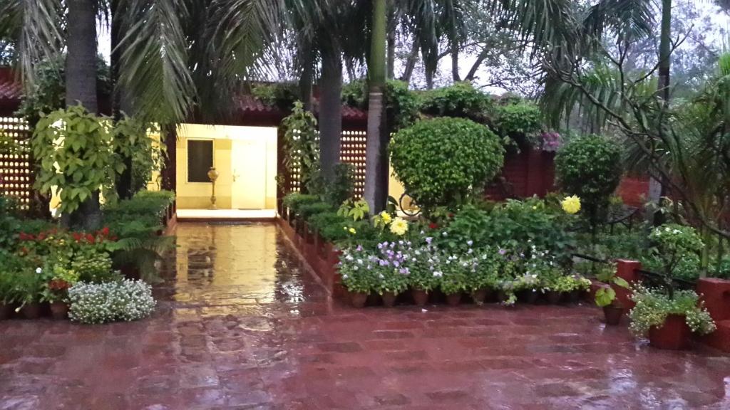 Zahrada ubytování Hotel Sheela, 100m from Taj Mahal