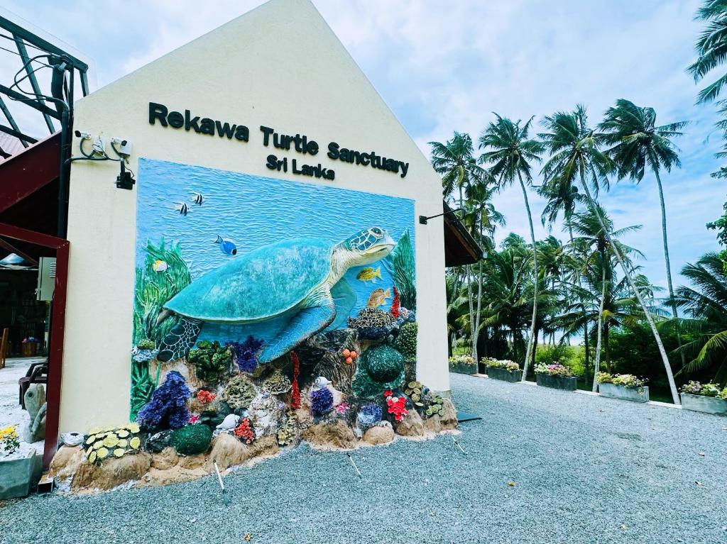 Ospiti di Shine Wave Turtle Beach
