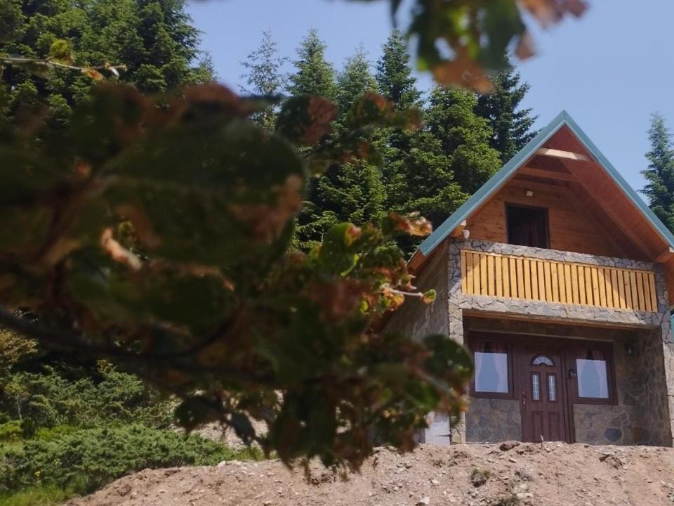 Budova, kde se prázdninový dům nachází