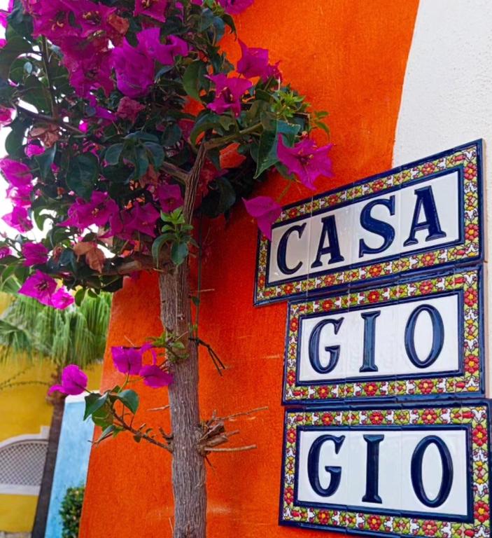 Certifikát, hodnocení, plakát nebo jiný dokument vystavený v ubytování Casa GIO' GIO' Borgo San Basilio