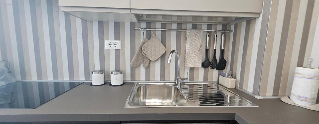 a kitchen with a stainless steel sink and utensils at Forte2110 in Misano Adriatico