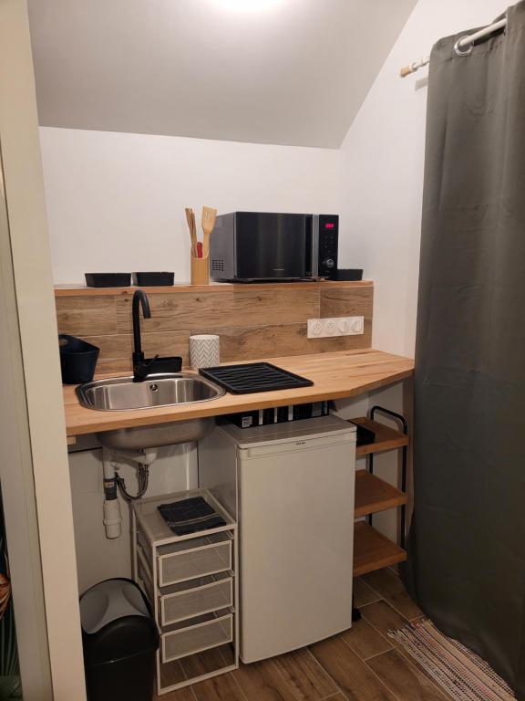 une cuisine avec un évier et un micro-ondes dans l'établissement studette chez l'habitant, à Saint Lo
