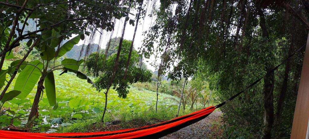 Thung Sen Tam Coc Chalets - 10