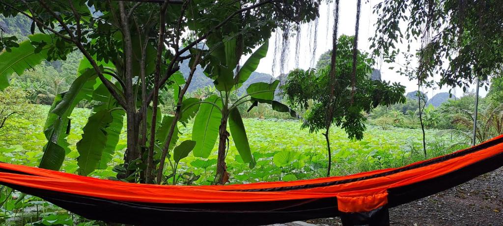 Thung Sen Tam Coc Chalets - 9