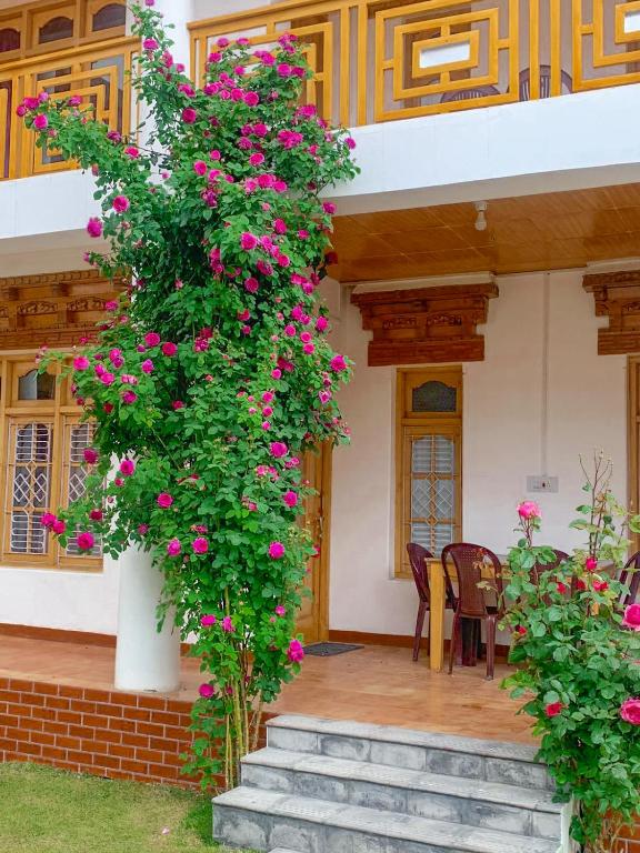 Zahrada ubytování Hotel Thachung