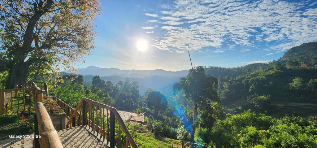 Rainbow Sky Cottage - 19