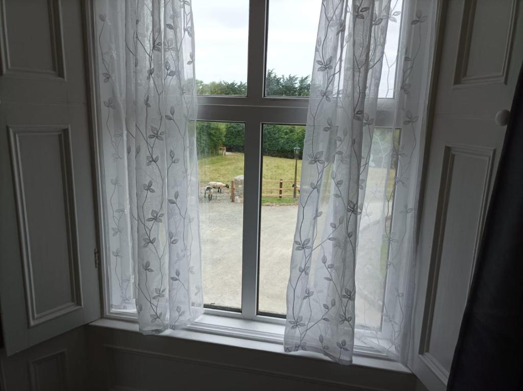 Fotografie z fotogalerie ubytování Garryhack House v destinaci Wexford