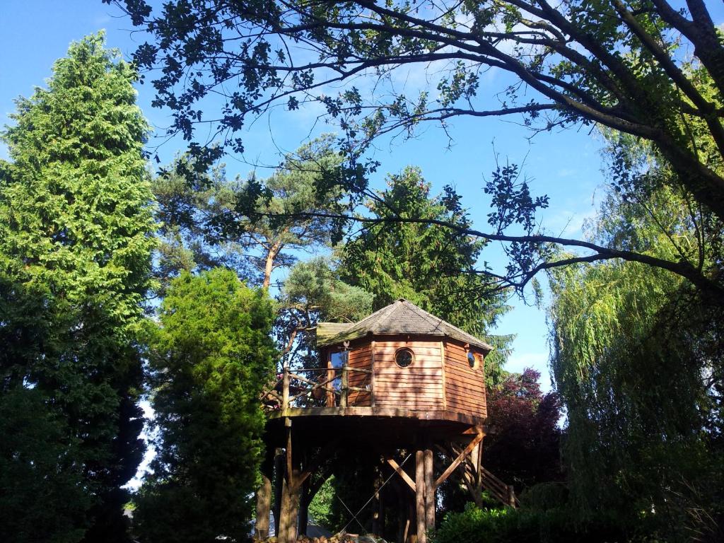 una casa en el árbol en medio de algunos árboles en Domaine De La Carrauterie by Terre Insolite, en Sautin