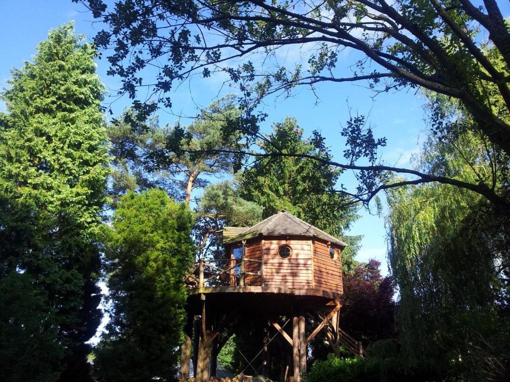 a tree house in the middle of some trees at Domaine De La Carrauterie by Terre Insolite in Sautin