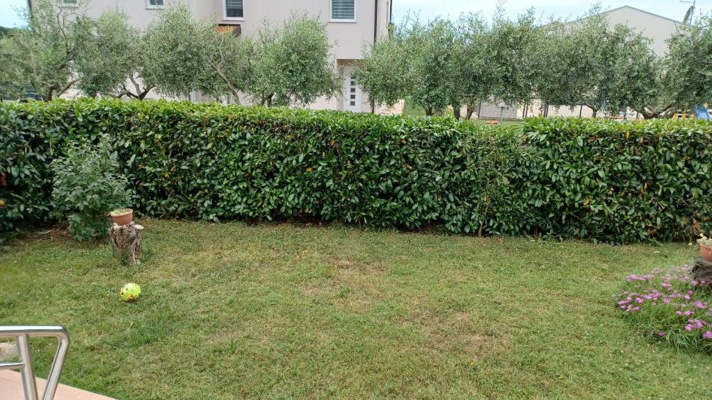 Zahrada ubytování Apartments Villa Adamović