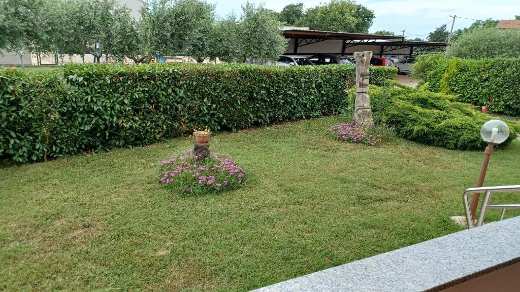 Zahrada ubytování Apartments Villa Adamović