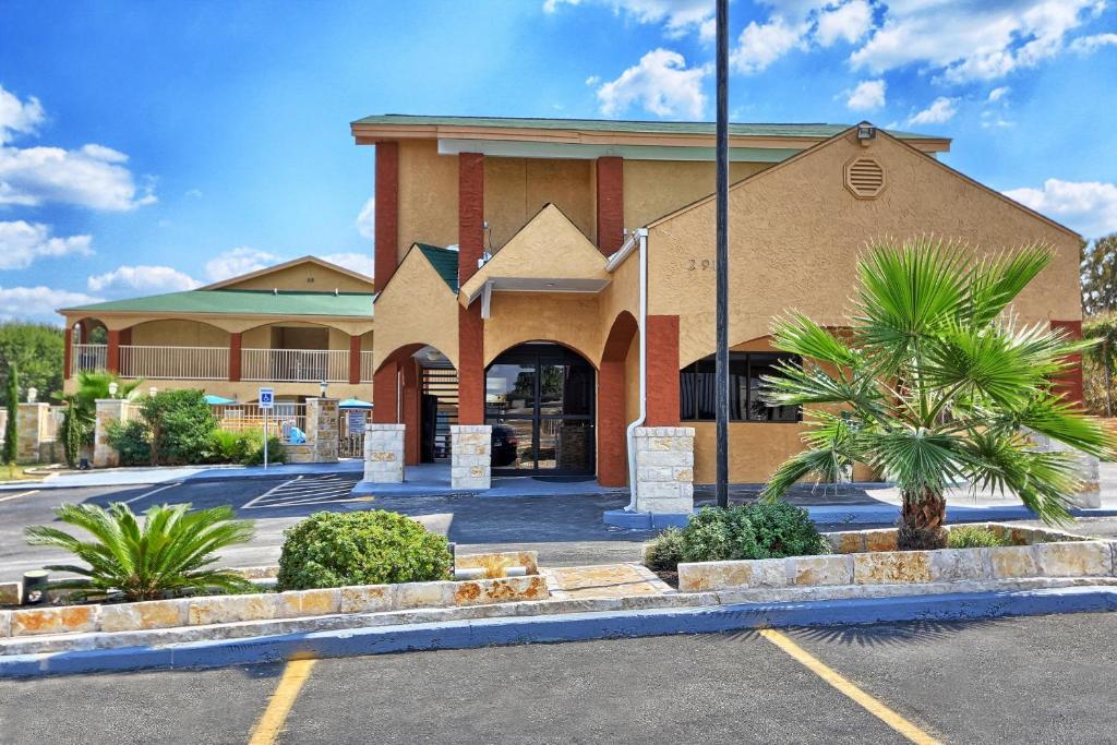 a building with a palm tree in a parking lot at Travelodge by Wyndham Austin South in Austin