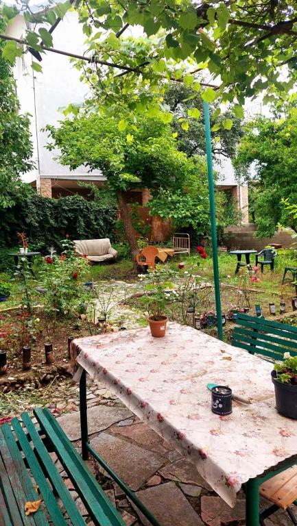 Zahrada ubytování Lemon Family GuestHouse