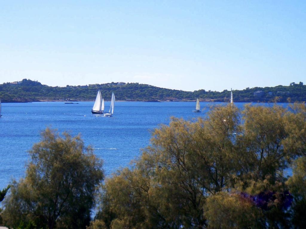 a group of sailboats on a large body of water at Galini Palace in Athens