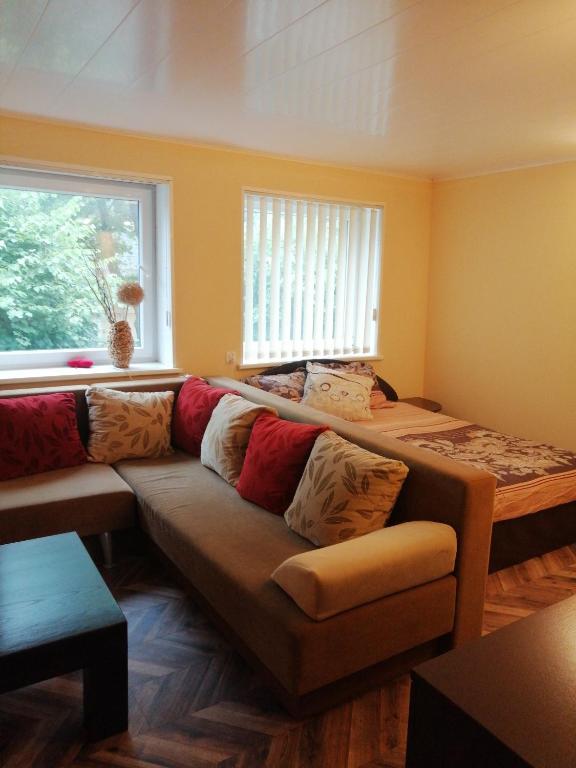 a living room with a couch and a window at Vieno kambario butas in Kintai