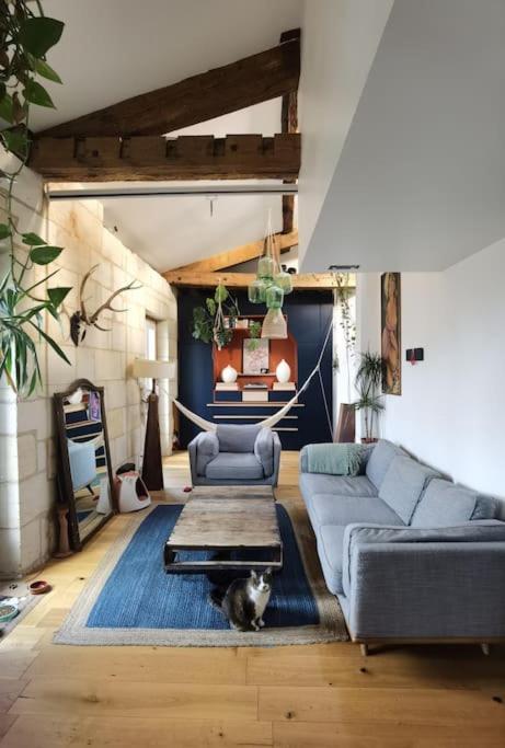- un salon avec un canapé et un chat sur un tapis dans l'établissement Duplex atypique et chaleureux, hyper centre, à Bordeaux