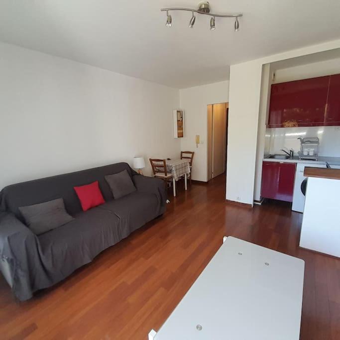 un salon avec un canapé et une cuisine dans l'établissement Spacieux Studio proche mer terrasse clim parking, à Six-Fours-les-Plages