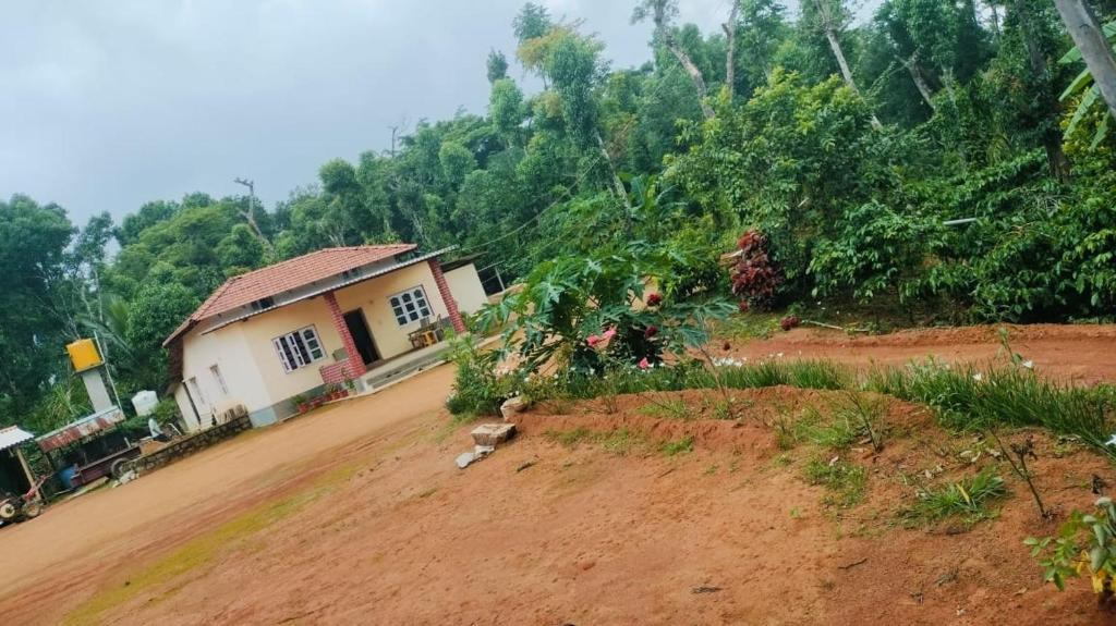 Dream house homestay