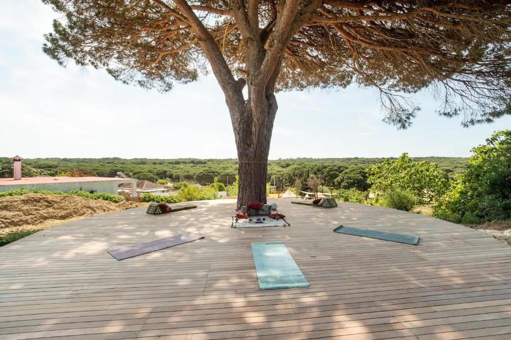 Zahrada ubytování Stone Pines Eco Glamping