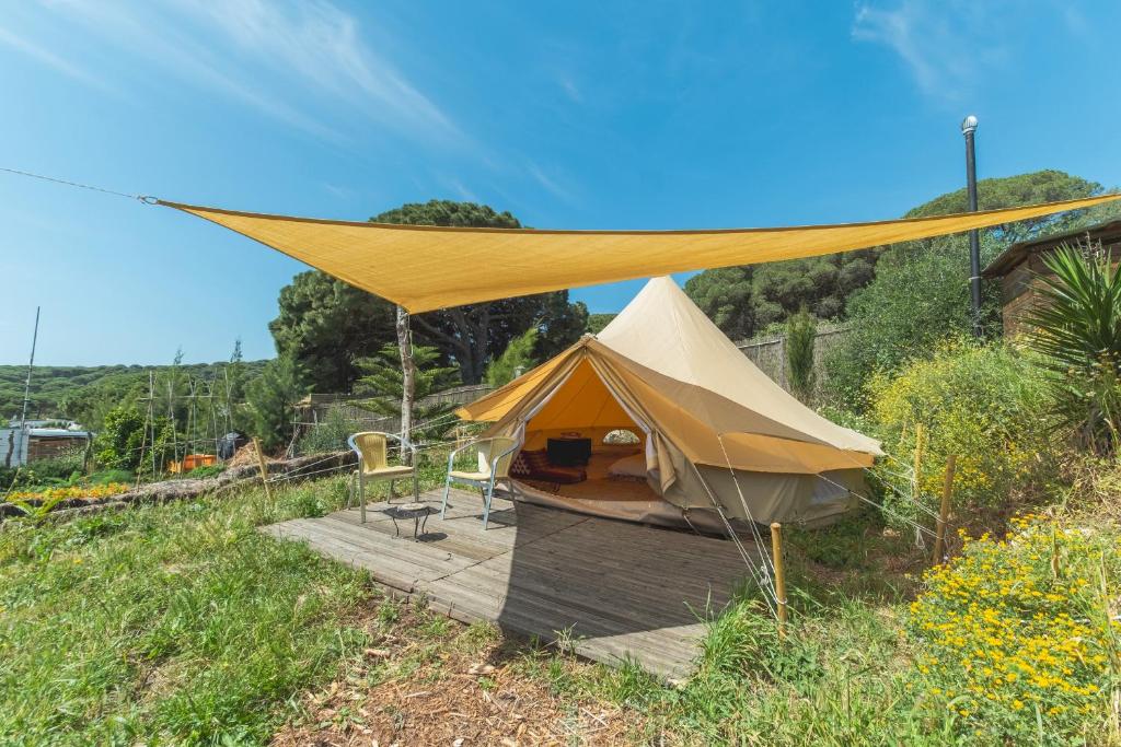 Příroda nedaleko luxury tent