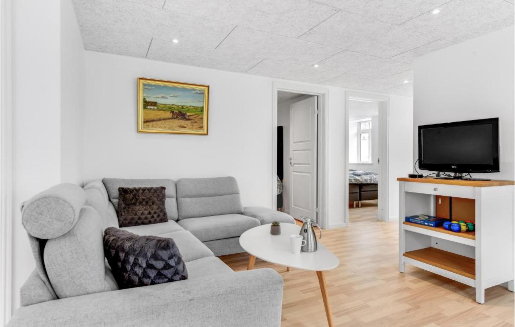 TV a/nebo společenská místnost v ubytování Pet Friendly Home In Højer With Kitchen