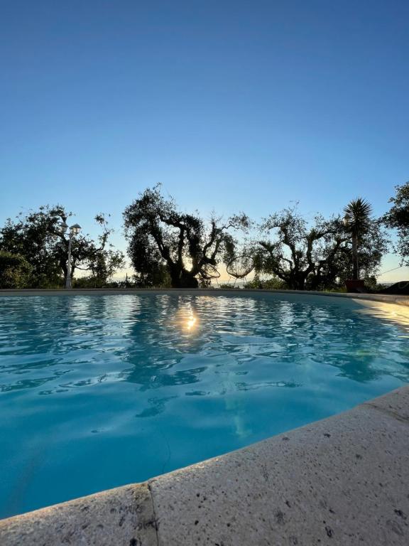 Bazén v ubytování La Melea - vegan Bed and Breakfast nebo v jeho okolí