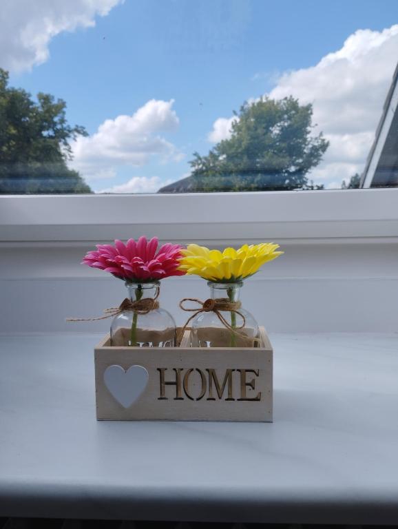 a couple of flowers in a vase in a window at Apartment Wittorf in Neumünster