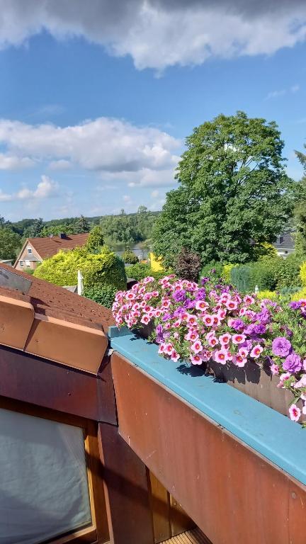 a window box filled with flowers on a roof at FeWo Wardersee in Rohlstorf