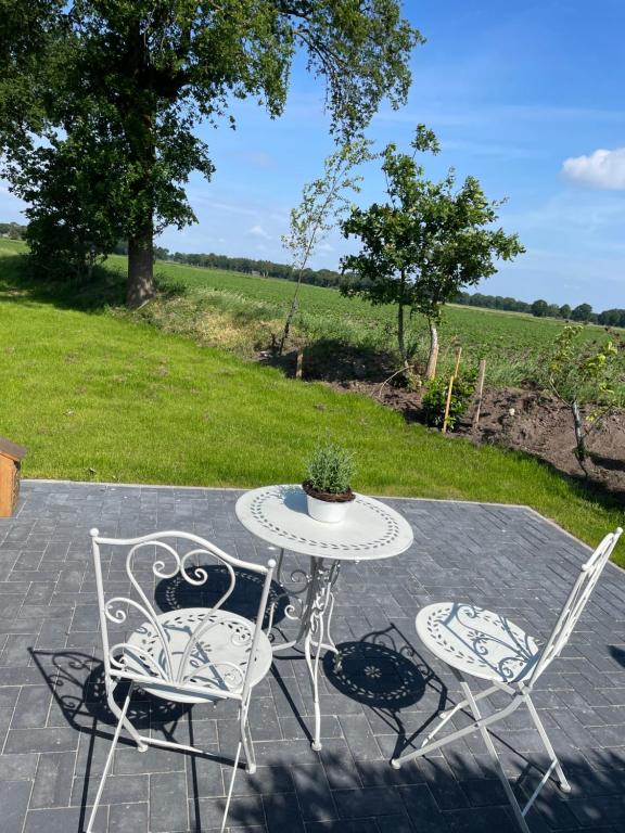 Zahrada ubytování Landhaus Hassel