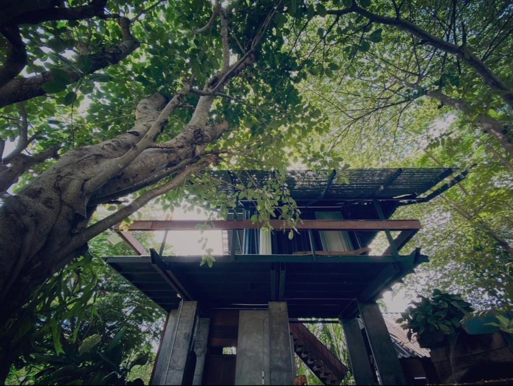 BREATHE - Rice Valley - 带花园的双人间