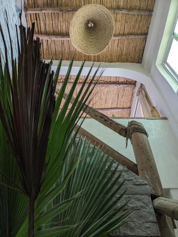 Fotografie z fotogalerie ubytování Moroccan Boho Surf House v destinaci Agadir