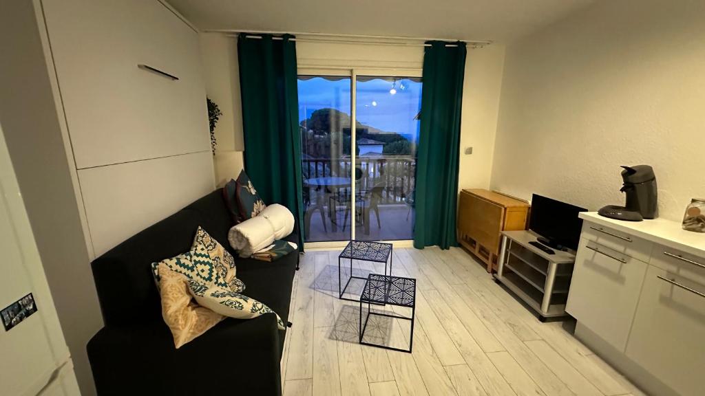 een woonkamer met een bank en een televisie bij Lumineux studio vue mer in Sainte-Maxime