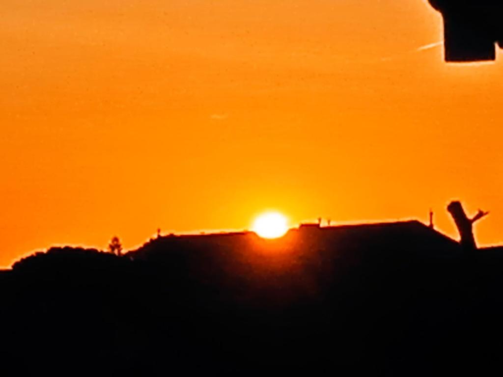 Photo de la galerie de l'établissement Appartement avec jardin, à Collioure