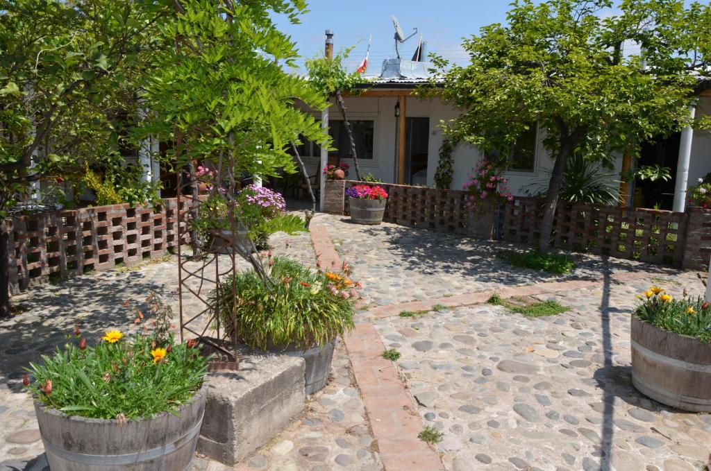 Vrt pred nastanitvijo Hostal Petit Verdot