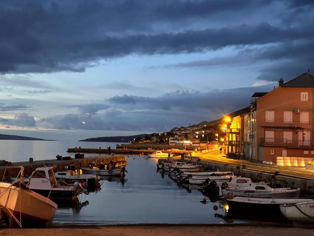 a group of boats docked in a marina at night at Tip- top in Karlobag