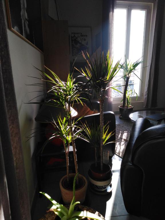 Istumisnurk majutusasutuses Les mythiques canaux de Sete, vue d'exception !