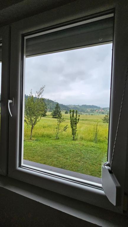 Příroda nedaleko vily