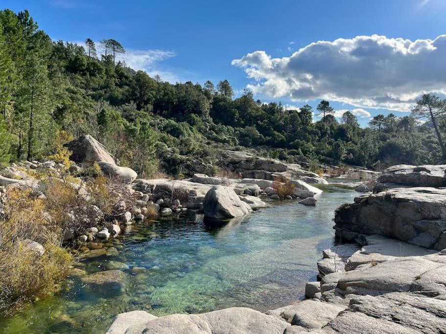 a river with rocks and water and trees at Maison Lili 2 chambres in Conca