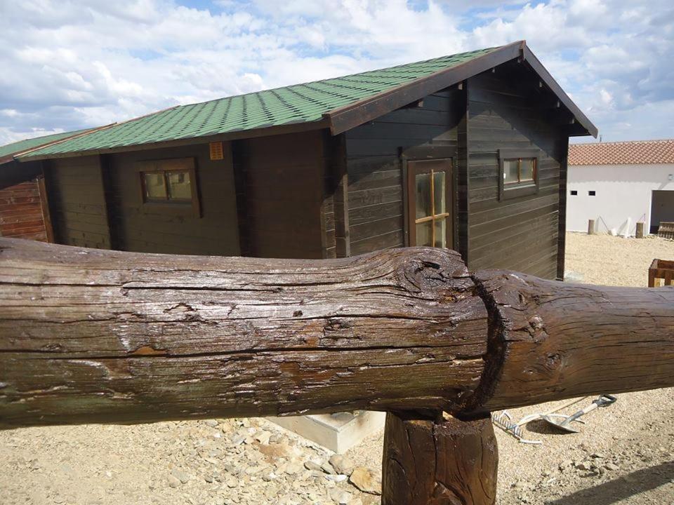 Monte do Azibo Glamping（Podence）：（最新料金：2024年） 