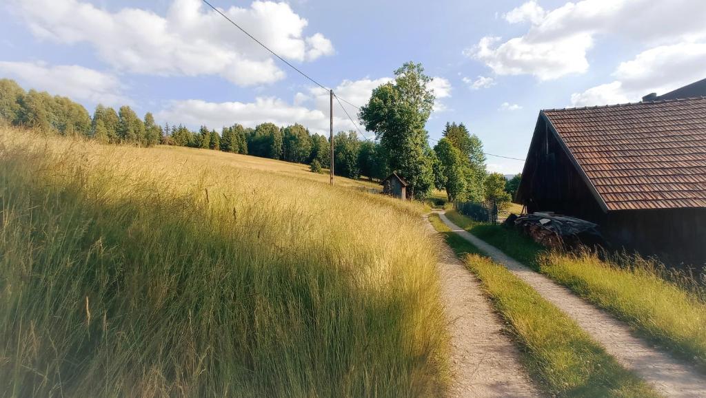 Příroda nedaleko farmy