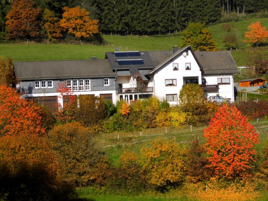 una gran casa blanca en un campo con árboles en Ferienwohnung Bäumner, en Bad Berleburg