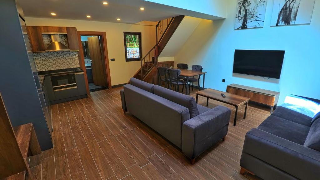 TV a/nebo společenská místnost v ubytování Vadi Bungalow