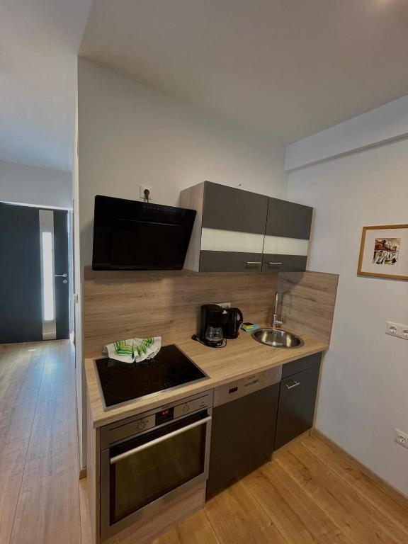 Kuchyň nebo kuchyňský kout v ubytování Hotel Mörbischerhof