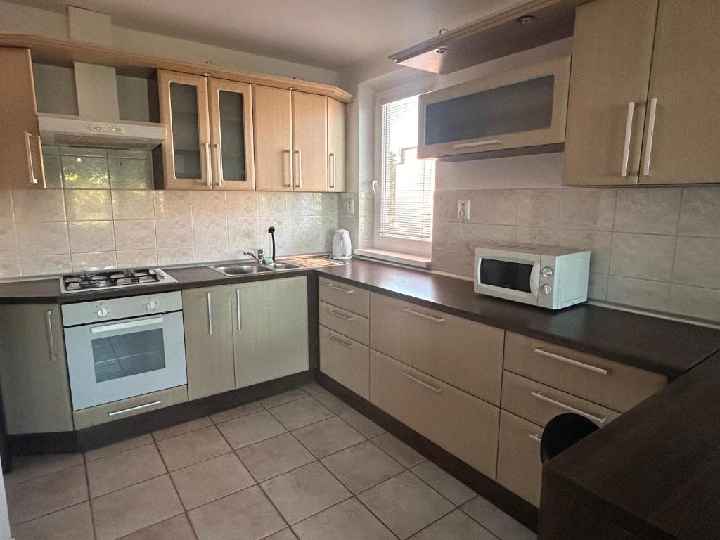 Kuchyň nebo kuchyňský kout v ubytování Apartman Rose