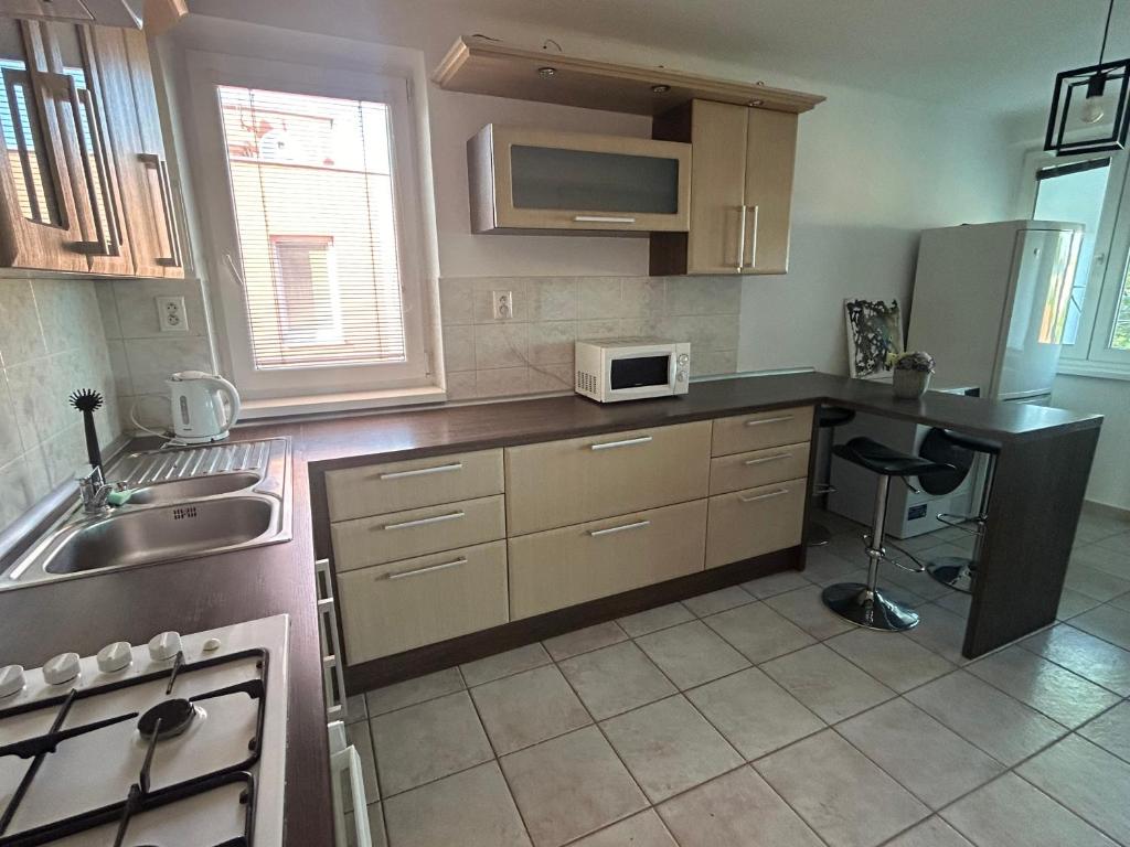 Kuchyň nebo kuchyňský kout v ubytování Apartman Rose