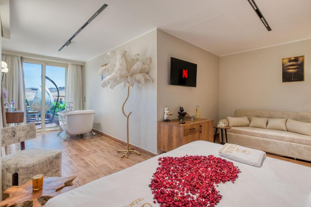 Predel za sedenje v nastanitvi Gaia Pyramids Hotel