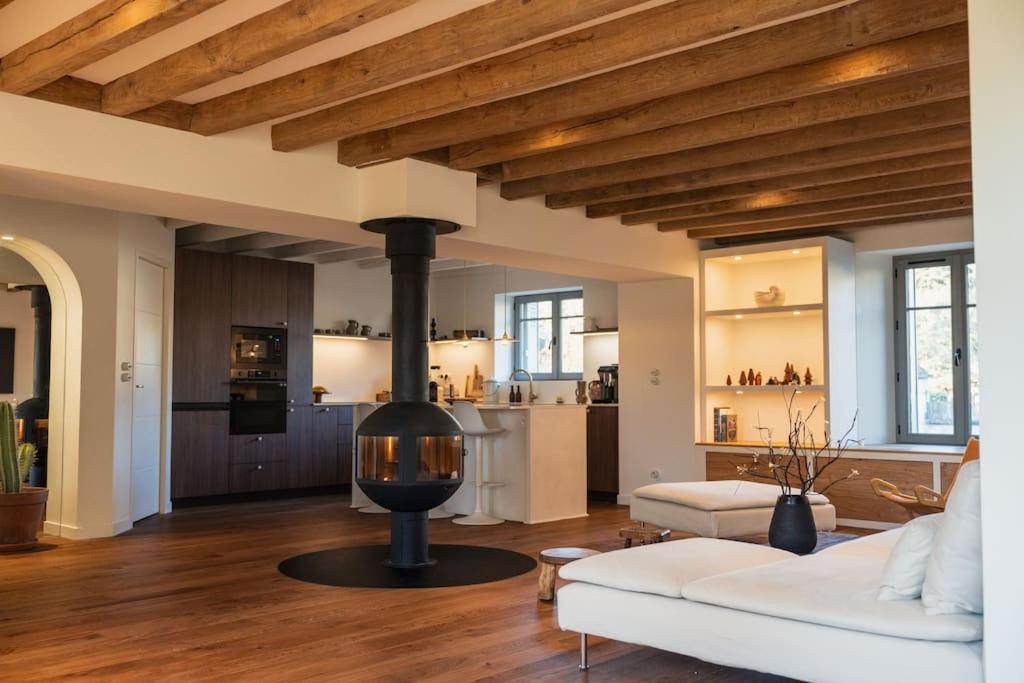 a living room with a fireplace and a white couch at Les Biches, Maison Familiale jusqu'à 10 personnes in Noyers-sur-Cher