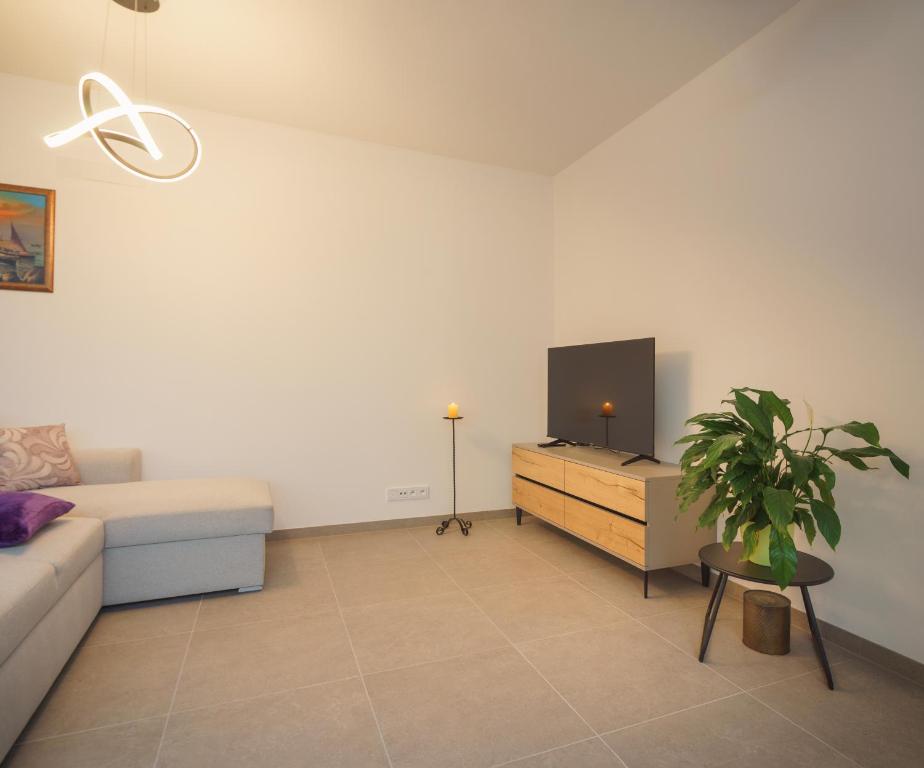 TV a/nebo společenská místnost v ubytování Apartments Poděbradova Premium