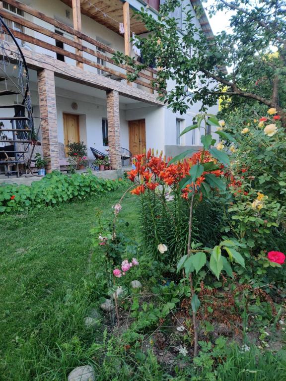 Zahrada ubytování Guest House IRAKLI