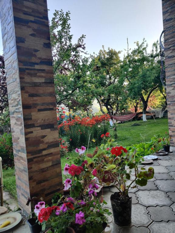 Zahrada ubytování Guest House IRAKLI